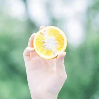 乐鱼APP官方登录入口leyu