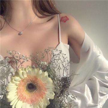 竞彩足球app手机app下载